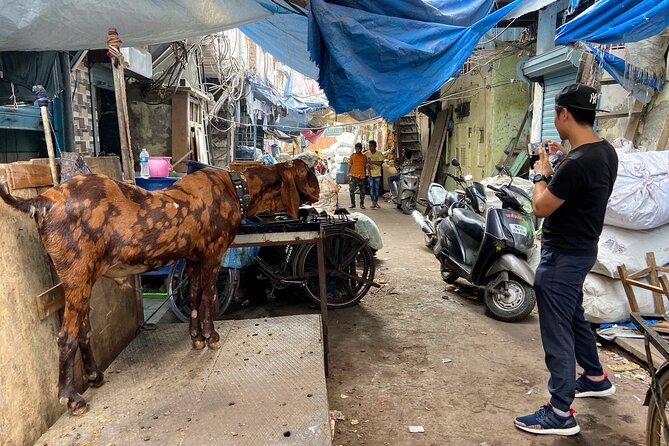 Dharavi Slum Tour in Mumbai with Combo Packages & Transfers - When this tour makes sense for you (and when it doesn’t)