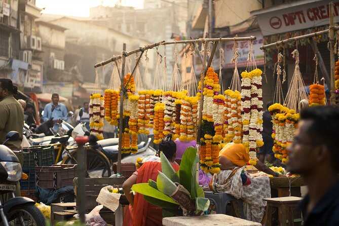 Mumbai Bicycle Tour - Bombay Panjrapole: Feeding Cows and Learning a Local Detail