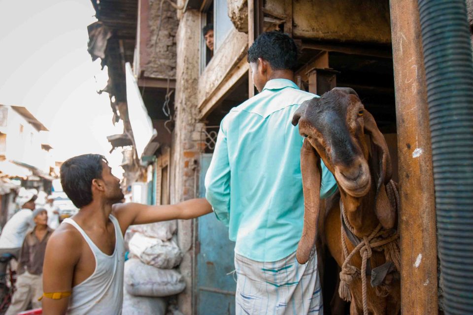 Mumbai: Dharavi Tour Including Car Transfer - Why Dharavi hits differently with a guided walk