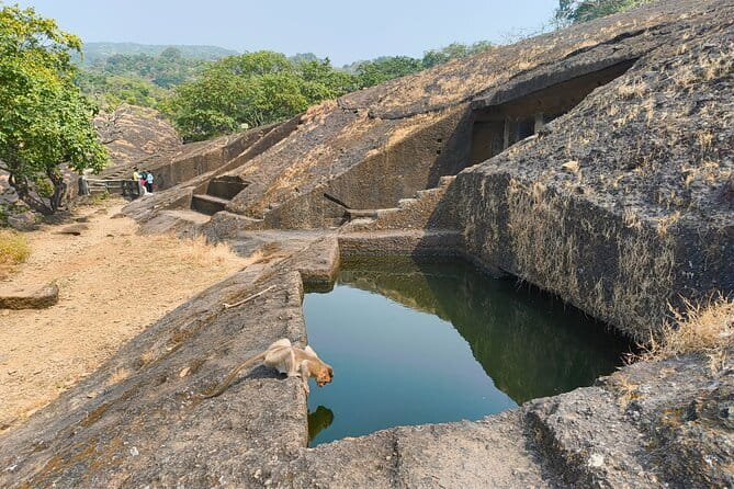 Mumbai Kanheri Caves & Golden Pagoda – A Buddhist Settlement - Price and value: what $34.04 really covers