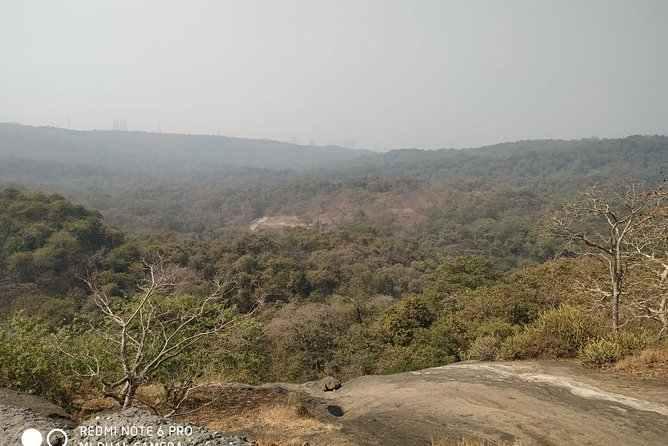 Private Kanheri- Buddhist Cave Tour - Who This Tour Fits Best (And Who Might Want a Different Plan)