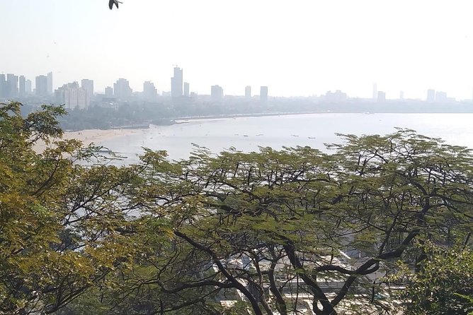 Private Mumbai City Tour - Price and value: what $61.80 buys you