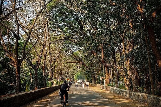 Sanjay Gandhi National Park and Kanheri Caves Day Private Tour - What $90 gets you (and what you’ll still need)