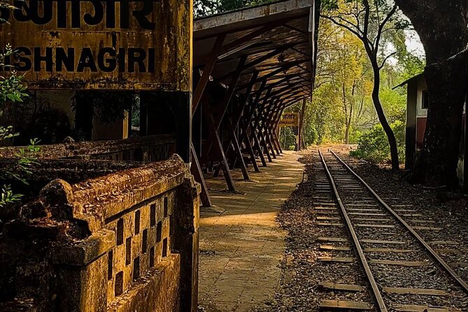 Sanjay Gandhi National Park and Kanheri Caves Day Private Tour - Best fit: who should book this Sanjay Gandhi + Kanheri tour