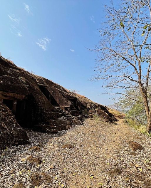 Sanjay Gandhi National Park + Kenheri Caves + Lion Safari - Hotel Pickup and Park Entry Without the Headache