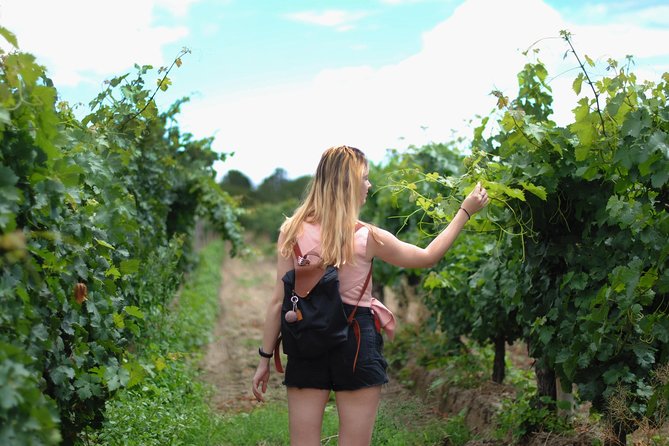 Sula Vineyards Day tour from either Mumbai OR Nashik - Key things worth knowing before you go
